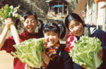 Kinokuni Children's Village